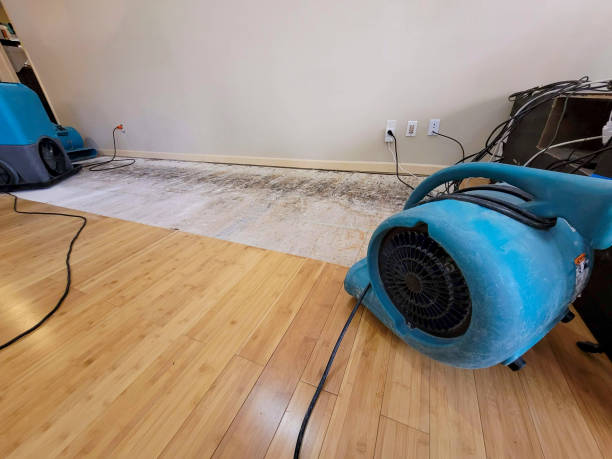Professional Water Damage Repair technician working in Farner, TN